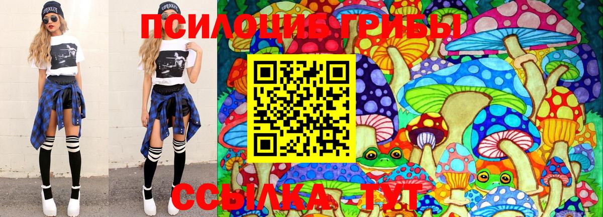 Ижевск  Псилоцибиновые грибы мицелий  Псилоцибиновые грибы ЛСД  как найти закладки  Вход с VPN 